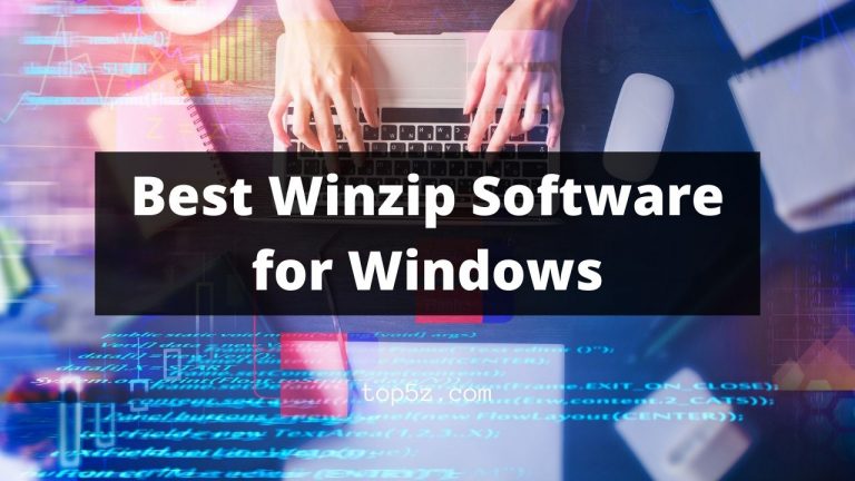 Best Winzip Software for Windows