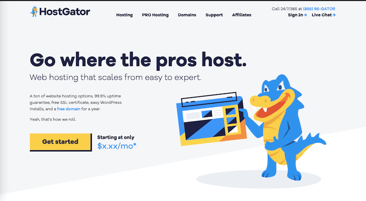 Hostgator Hosting